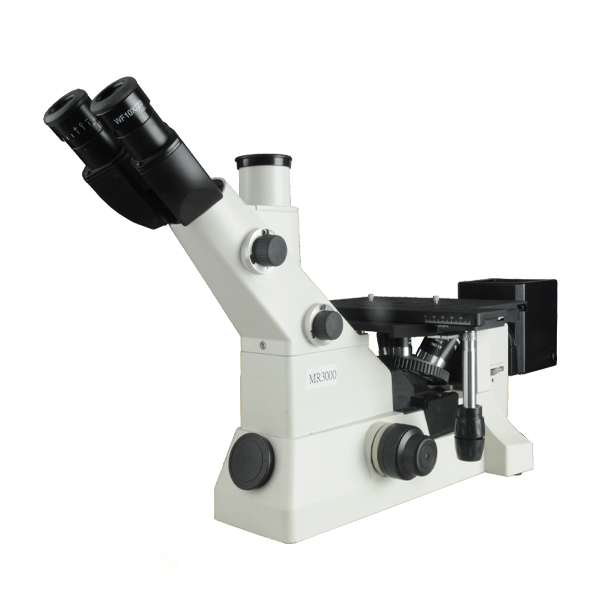 Microscope MS